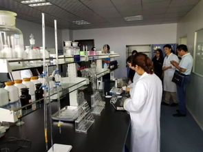 探訪酒香深處的體育魂 百家媒體走進河南仰韶酒業