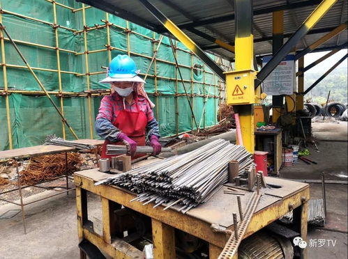 福建鑫鷺鎢制品深加工項(xiàng)目 防疫復(fù)工雙管齊下，建筑勞務(wù)分包助力建設(shè)有序推進(jìn)